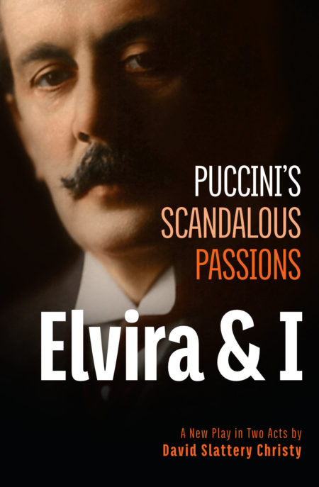 Elvira & I Book Cover